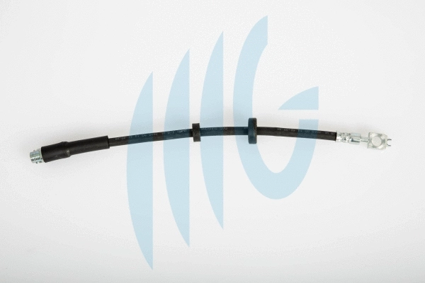 Brake Hose (02020101)