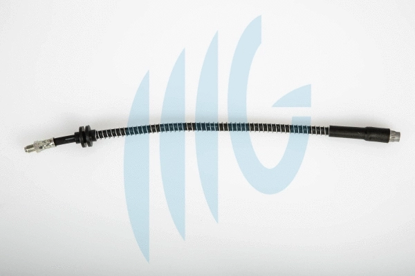 Brake Hose (02120198)
