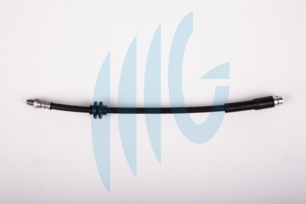 Brake Hose (02620672)