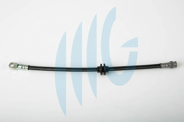 Brake Hose (02260364)