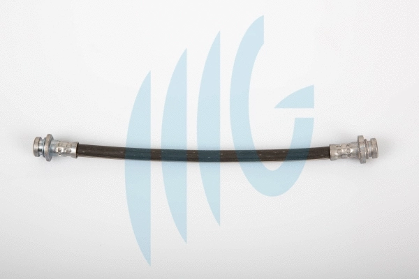 Brake Hose (02100715)