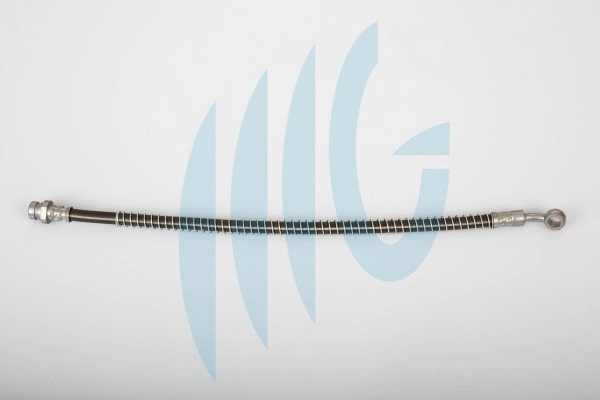Brake Hose (02160849)
