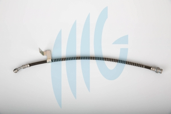 Brake Hose (02160871)