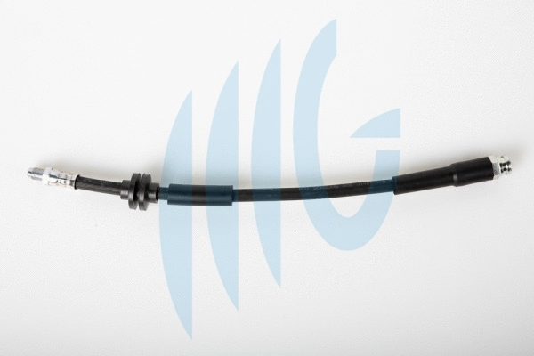 Brake Hose (02120233)