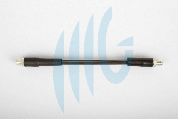 Brake Hose (02040284)