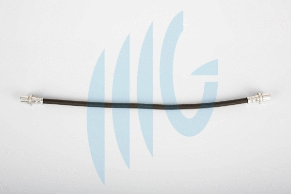 Brake Hose (02561023)