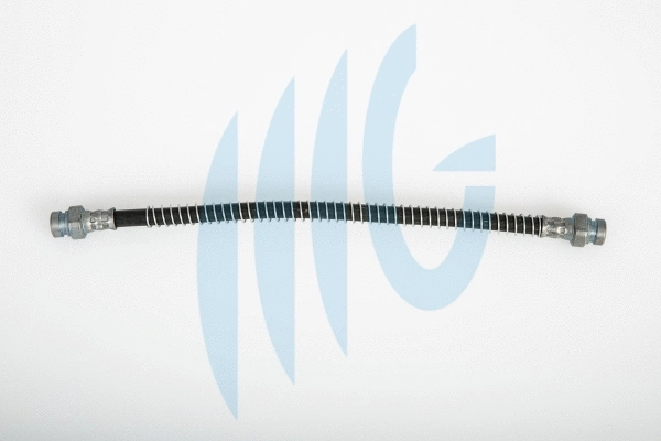 Brake Hose (02160874)