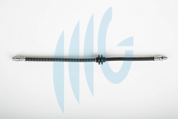 Brake Hose (02060281)