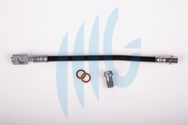 Brake Hose (02020099)