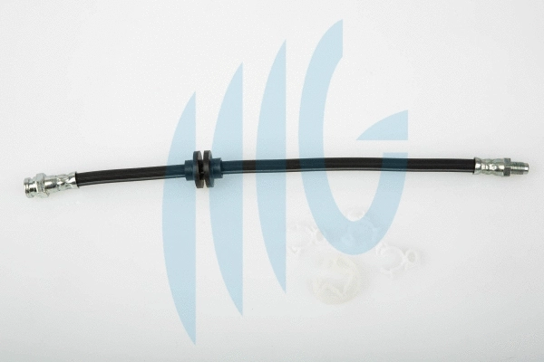 Brake Hose (02120138)
