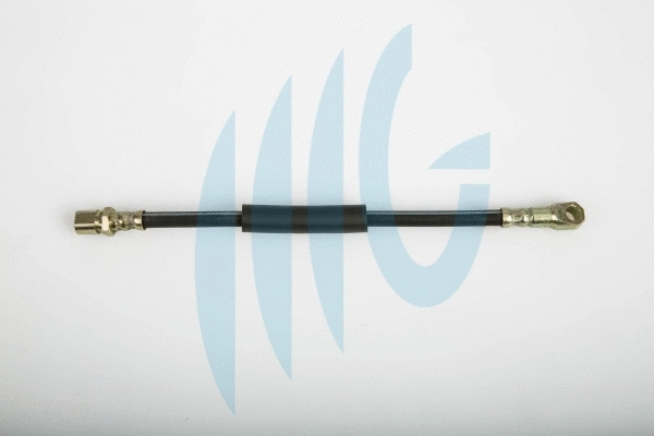 Brake Hose (02120164)