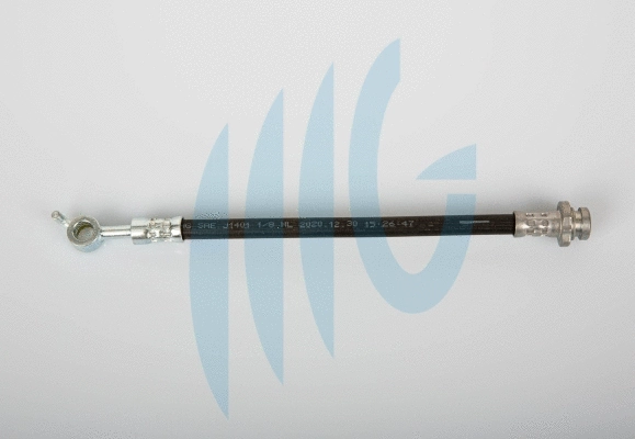 Brake Hose (02440621)