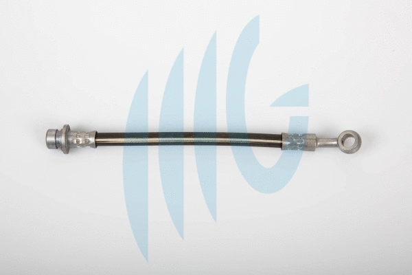Brake Hose (02180834)