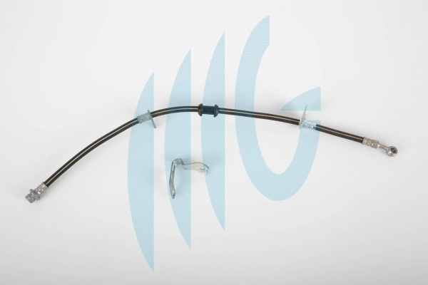 Brake Hose (02180831)