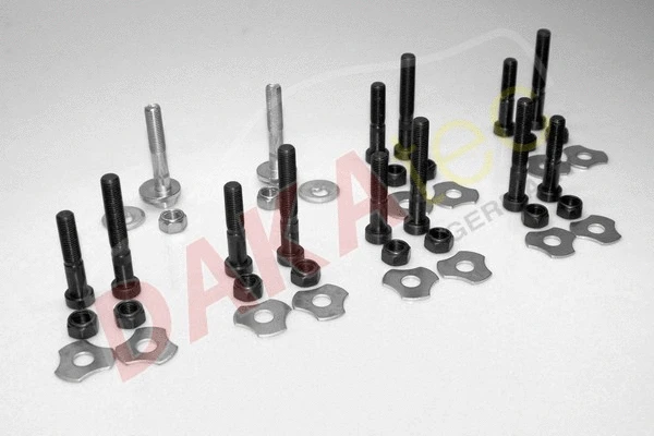Mounting and Bolting Kit, control/trailing arm (30004)