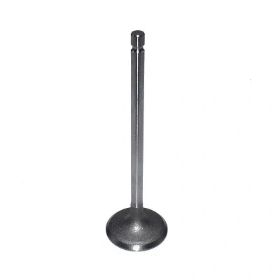 Intake Valve