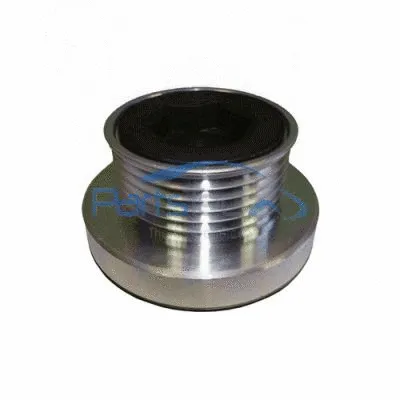 Alternator Freewheel Clutch (PTA104-0132)