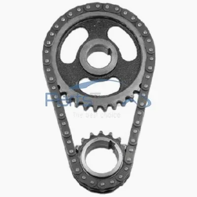Timing Chain Kit (PTA114-0091)