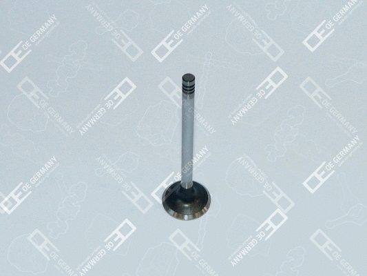 Exhaust Valve (04 0520 101201)