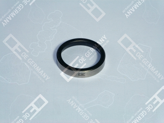 Valve Seat (01 0123 457001)