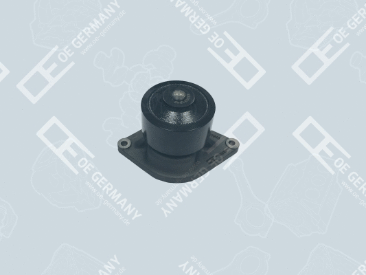 Water Pump, engine cooling (07 2000 F00E00)
