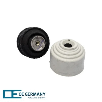 Mounting, engine (800825)