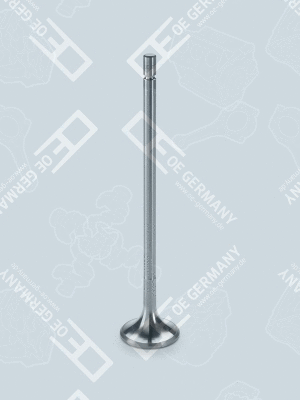 Exhaust Valve (03 0520 120001)