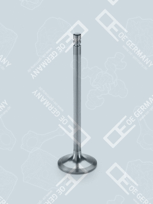 Intake Valve (03 0520 TD1200)