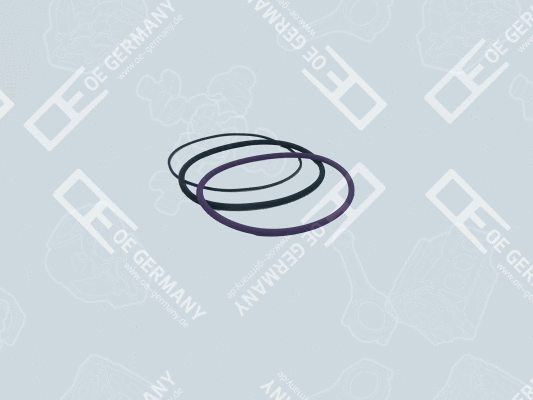 O-Ring Set, cylinder sleeve (03 0111 120000)