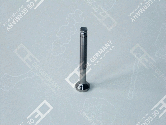 Exhaust Valve (01 0520 500009)
