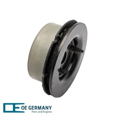 Mounting, transfer case (801199)