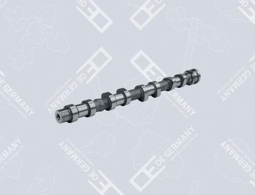 Camshaft (01 0500 651000)