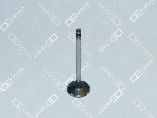 Intake Valve (04 0520 101100)