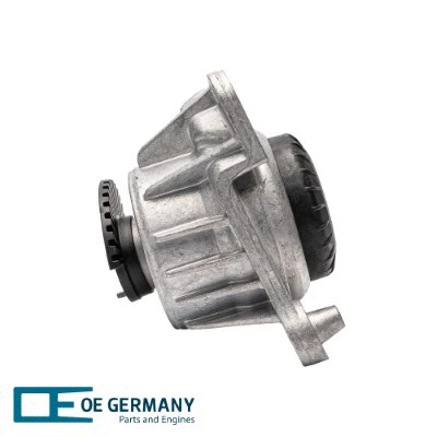 Mounting, engine (801164)