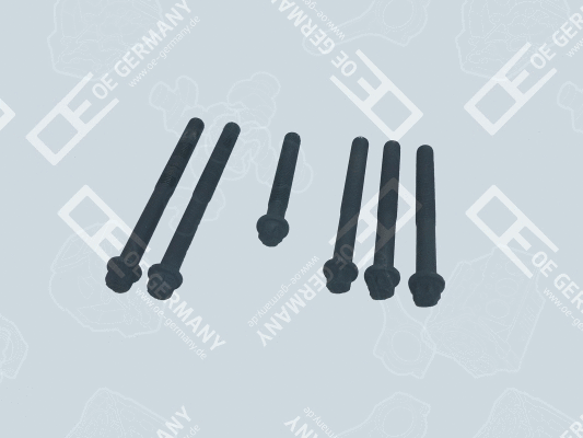 Cylinder Head Bolt Set (02 0121 286609)