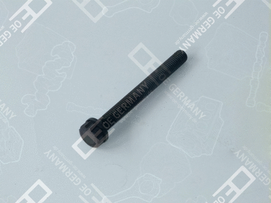 Cylinder Head Bolt (01 0121 366000)