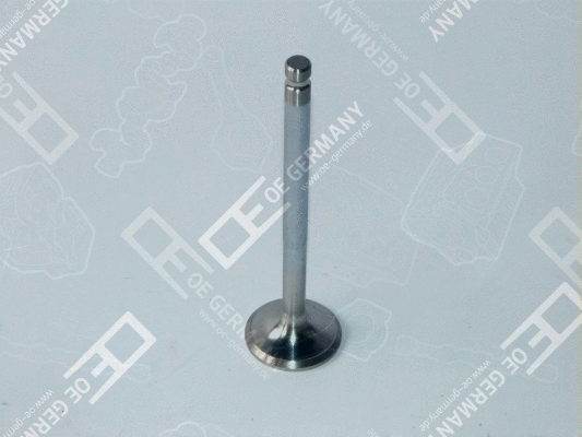 Exhaust Valve (05 0520 900001)