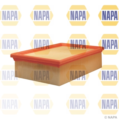 Air Filter (NFA1061)