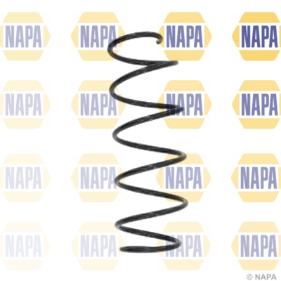 Suspension Spring (NCS1638)