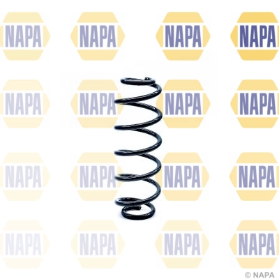 Suspension Spring (NCS1179)