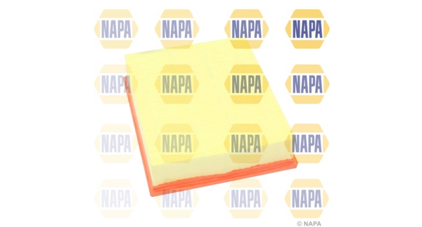 Air Filter (NFA1038)