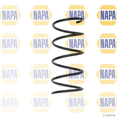 Suspension Spring (NCS1548)