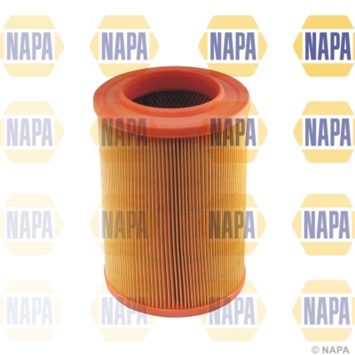 Air Filter (NFA1395)