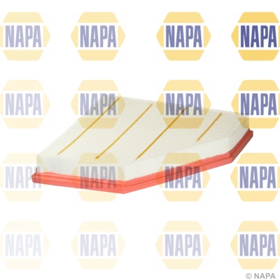 Air Filter (NFA1289)