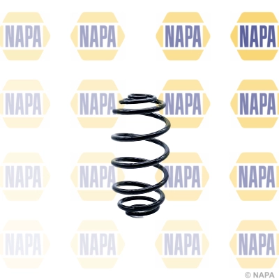 Suspension Spring (NCS1165)