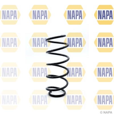 Suspension Spring (NCS1259)