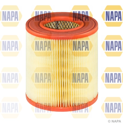 Air Filter (NFA1125)