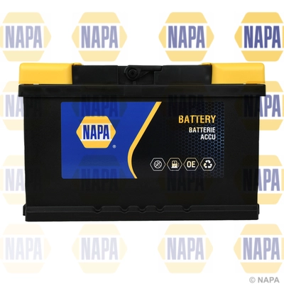 Starter Battery (100N)