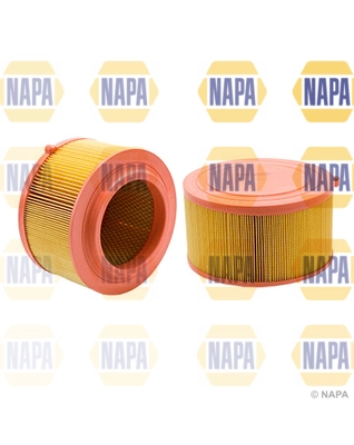 Air Filter (NFA1249)