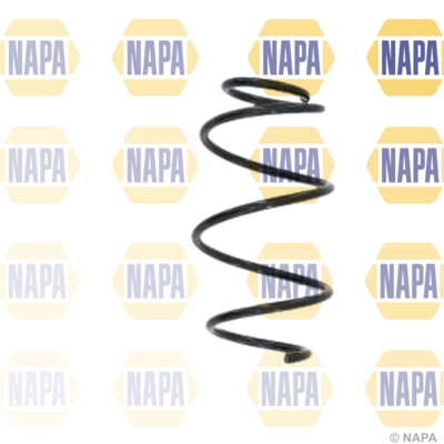 Suspension Spring (NCS1556)